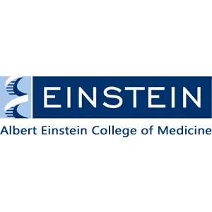 Albert Einstein College of Medicine